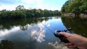 Kastking KESTREL ELITE BFS  vs the TROUT MAGNET!!!
