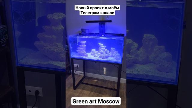 https://t.me/greenartmoscow/1425?single