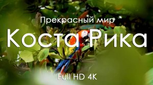 Коста Рика • Буйство дикой природы и музыка фортепьяно для души и тела • Full HD | Ultra HD | 4K