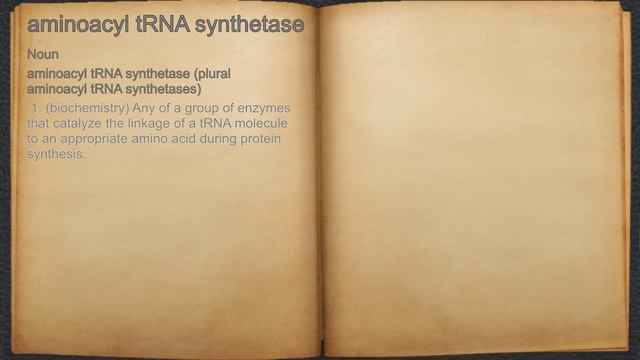 What does aminoacyl tRNA synthetase mean? смотреть онлайн
