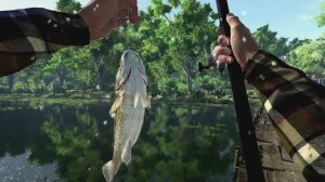 Fishing Planet №15
