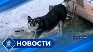 Новостной выпуск 19:00 от 22.11.24