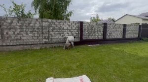 Надежный и мощный безвоздушный окрасочный аппарат BAOBA ST-800 | ВИДЕО РАБОТЫ