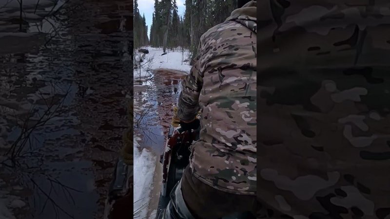 безумие и отвага