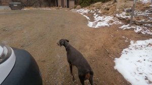 VANLIFE! We Found Snow! A Cold Day In Arizona In My Self Converted Promaster Camper Van GoPro Hero9