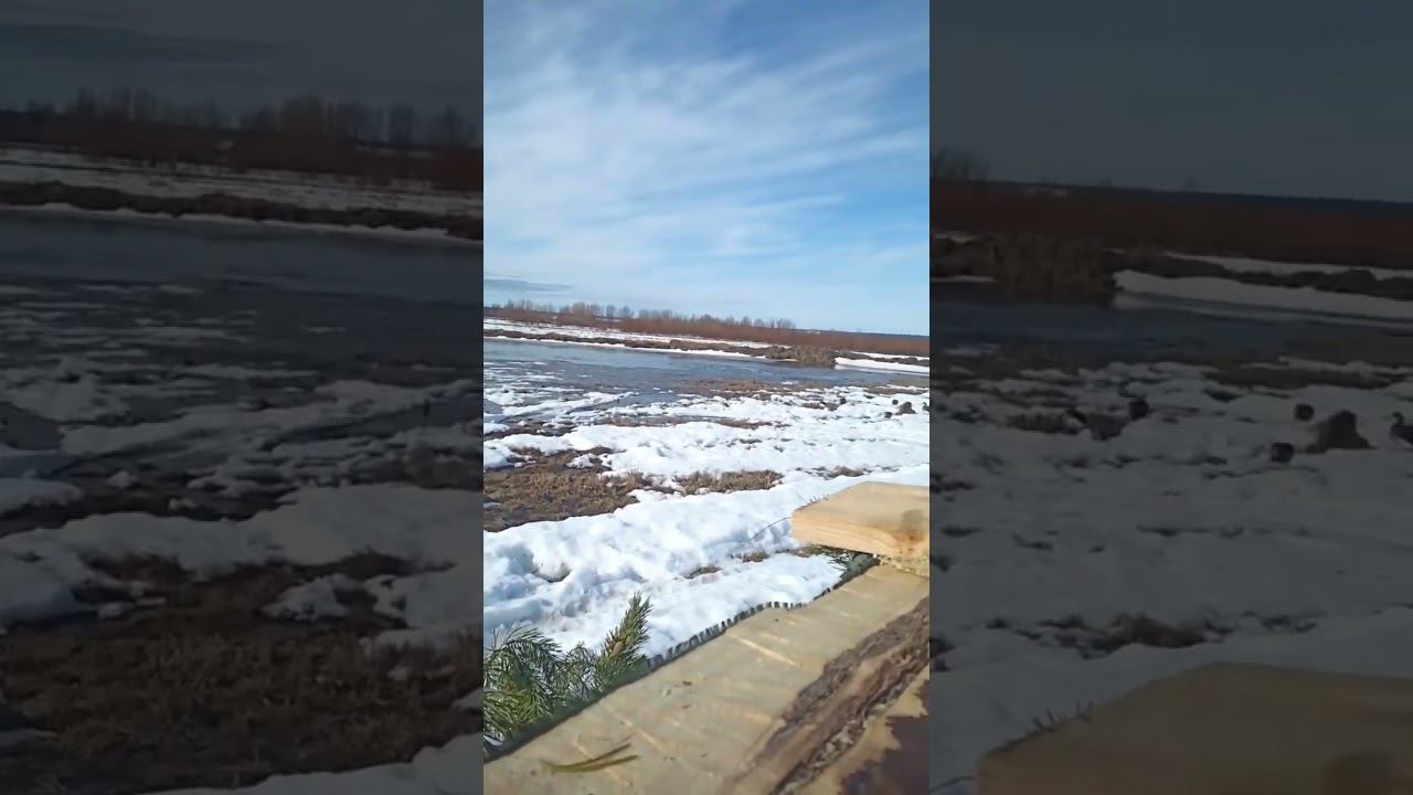 охота началась смотреть онлайн