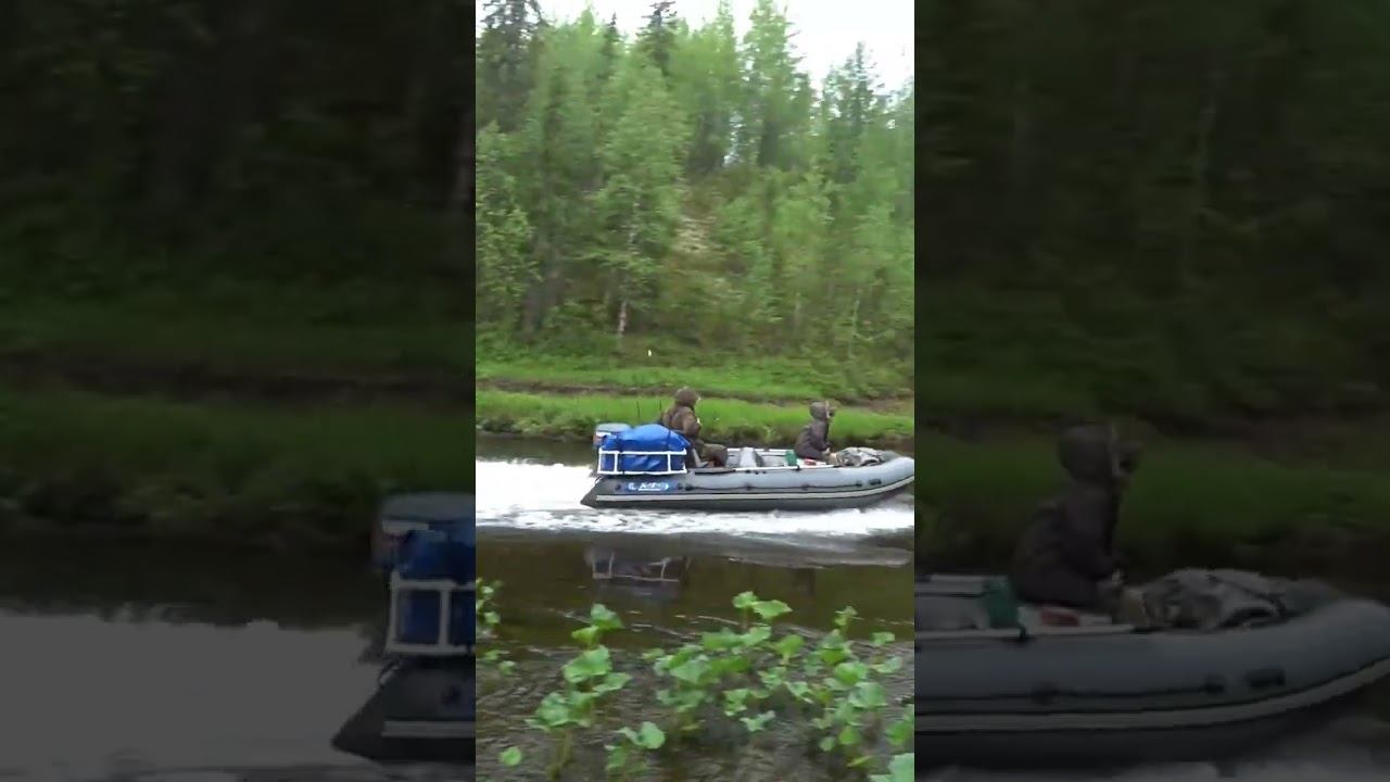 REEF JET, YAMAHA 25 JET смотреть онлайн