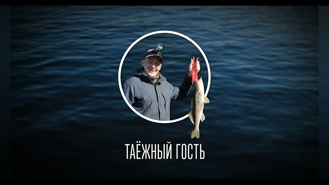 ловля ХАРИУСА на лесной речке. лодка ПВХ REEF. смотреть онлайн