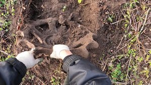 Вы видели, я даже не представляю, что там... обочина дороги