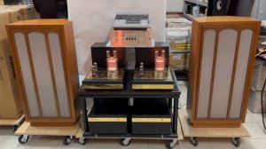 Акустика Goodmans Axion 80 (x4)