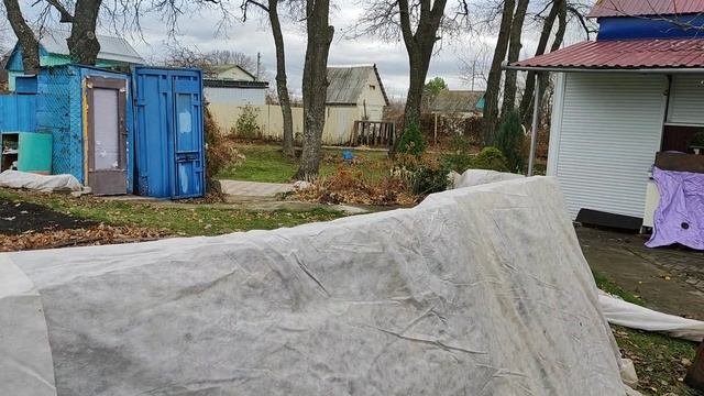 Укрываем наши розы!