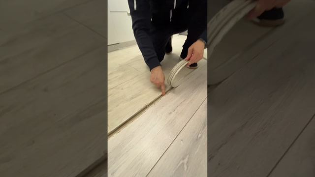 Zems Pro Стоимость Проекта