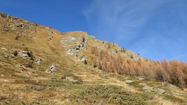 La Sage смотреть онлайн