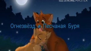 Пары Котов-Воителей