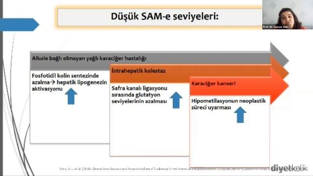 S-Adenosil L-Metiyonin Nedir, Ne İşe Yarar? SAM-e Takviyesi Etkileri, Günlük Önerilen Doz Nedir? смотреть онлайн