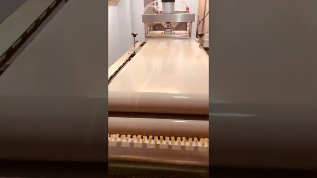 How our PTFE belt used in food industry смотреть онлайн