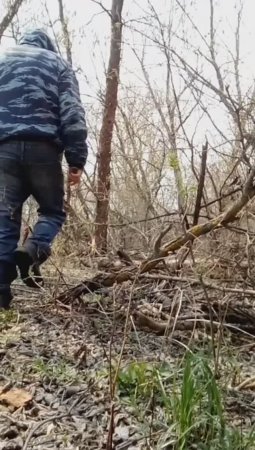 Шеколад будет отличный