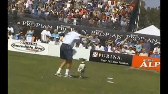 George 2005 Purina смотреть онлайн