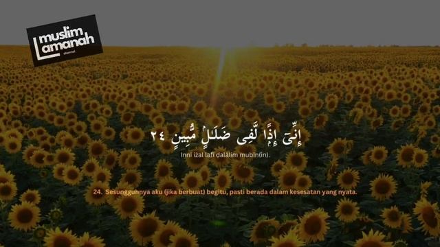 Surah Al Baqorah, Surah Yasin Surah, Al Waqiah, Surah Arrahman, Surah Al Mulk | Murattal Quran Merd смотреть онлайн