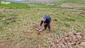 Life in difficult conditions: solidarity of Ali's family for a better future(Perensholiz)