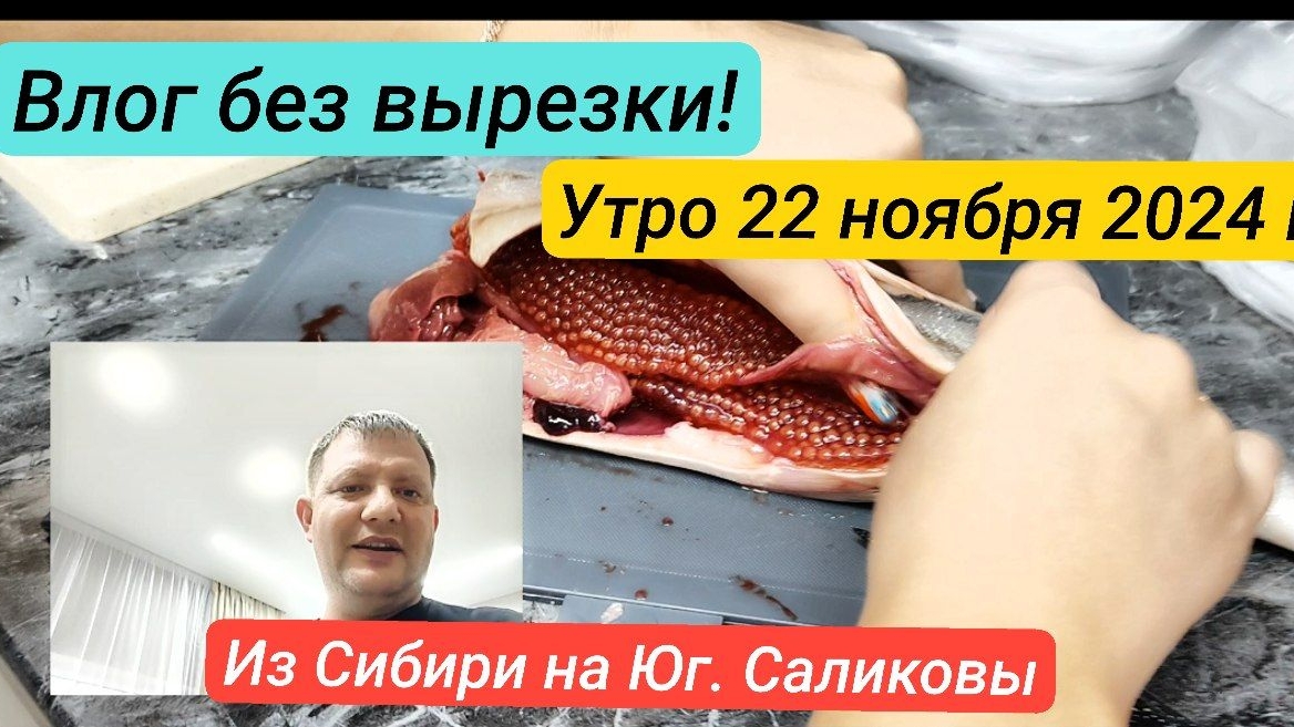 🌴 22 ноября 2023 г. Утренний влог без вырезки .Живём на Кубани. Иркутск-Новоминская.