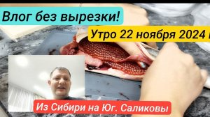 🌴 22 ноября 2023 г. Утренний влог без вырезки .Живём на Кубани. Иркутск-Новоминская.