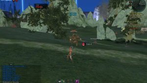 Tera Online Archer Gameplay