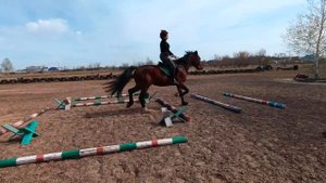 ❤️🔥Орловский рысак✨ 🐎Rider's notes // Заметки конника🐴