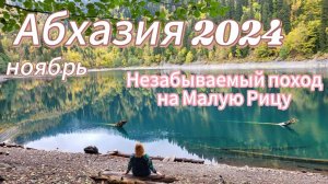 Абхазия в несезон это рай🌴Как мы шли на Малую Рицу маршрут/ Грибов тьма в лесу Божественная красота