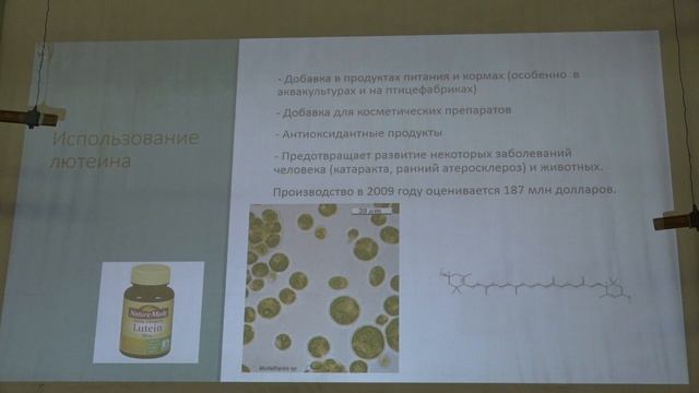 Белякова Г. А. - Низшие растения - 8. Архепластиды. Зеленые водоросли