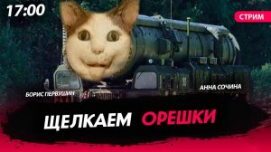 Щелкаем орешки [Первушин и Сочина. СТРИМ]