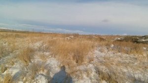 Не удачная охота на зайца