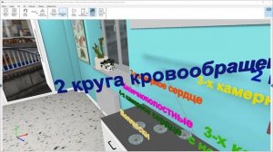 Урок от VR Concept: Путешествие по эволюции кровеносной системы