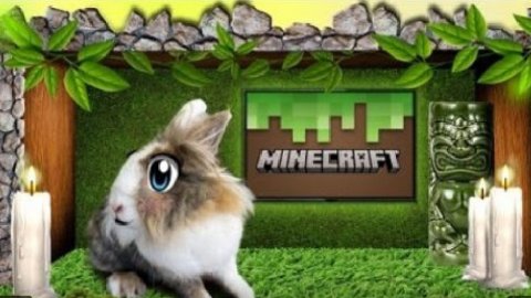 секретная комната кролика баффи