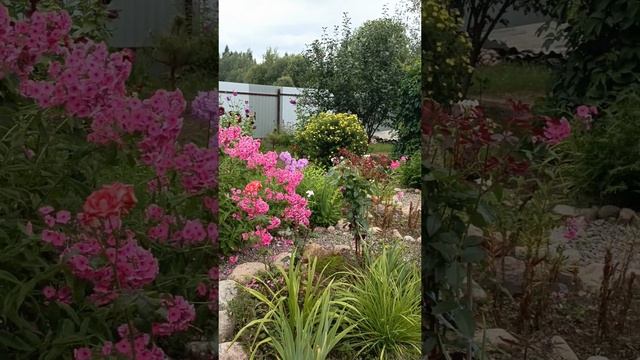Ландшафтный дизайн. Мой сад