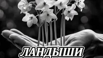 Нейроклип на песню " Ландыши " ( сл. О.Фадеевой ) смотреть онлайн