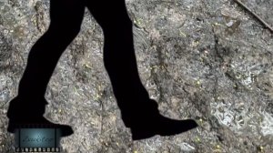 Звук шагов по болоту