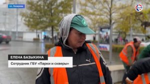 В Севастополе готовят клумбы к наступлению весны (Дежурный по городу. 22 ноября 2024)