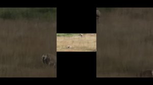 Мир духов 4