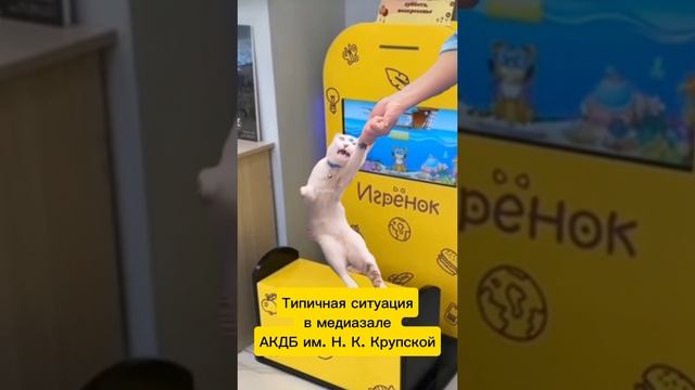 Попав к нам, вам не захочется уходить 😉
#акдб