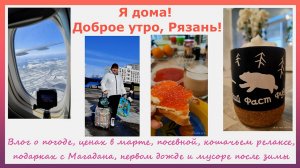 Я дома! Доброе утро, Рязань! Влог о погоде, ценах, посевной, кошачьем релаксе, первом дожде и мусоре