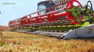 CLAAS LEXION 8700 с жаткой CONVIO FLEX 1380 демонстрационный показ в Липецкой области.