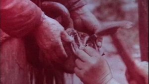 Всесоюзный киножурнал "Фитиль" № 137 1974 г