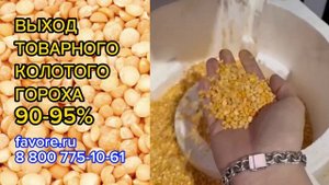 Машина для колки гороха (горохокол) предназначена для переработки гороха на половинки. ФАВОР