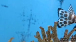 Music MIX 2022 | Party Club dance 2022 | best remixes of popular songs [2022]