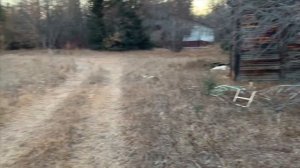 Заброшенный пионер лагерь Геолог - Дружба