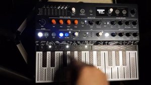 Arturia MicroFreak: TB 303 tutorial