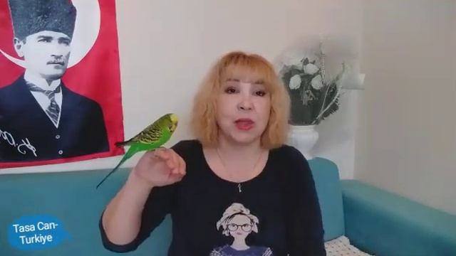 Волнистый попугай Кеша🐦✅Отвечаю на вопрос ❓✅