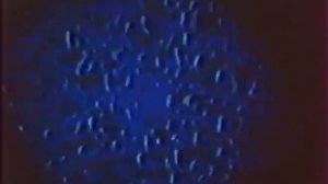 В поисках единства. Леннаучфильм 1986