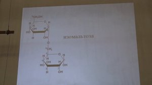Асеев В. В. - Основы биохимии - 2. Углеводы
